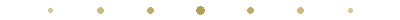 Section divider